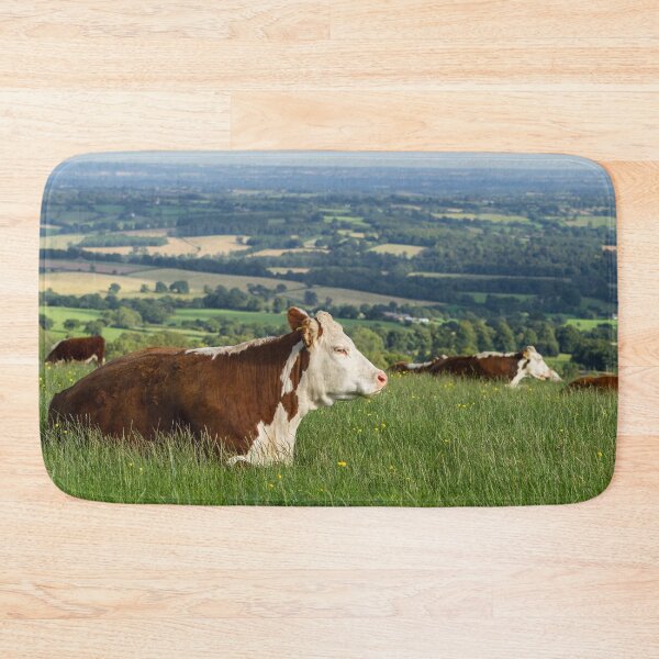 Item preview, Hereford Cows designed and sold by Jane Stanley Photography.