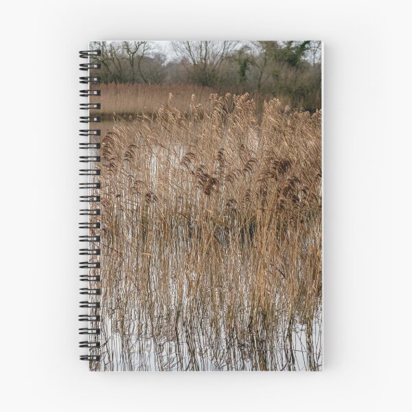 Item preview, Golden reeds designed and sold by yackers1.