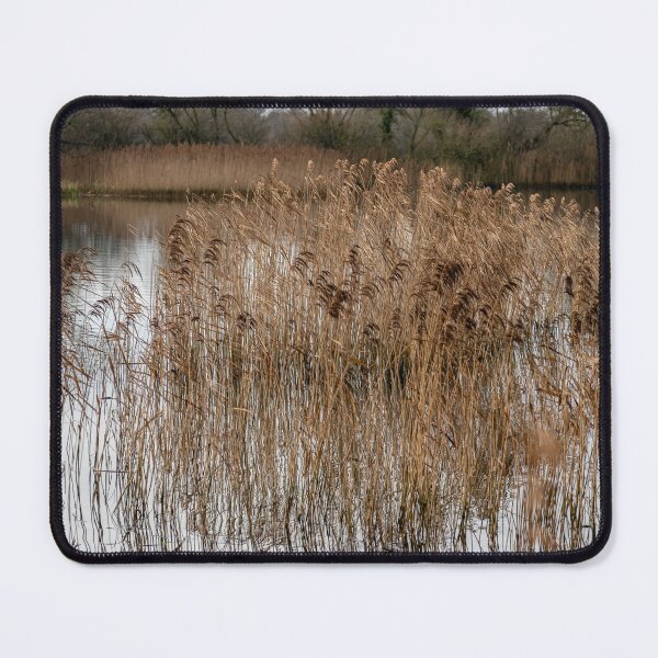 Item preview, Golden reeds designed and sold by yackers1.
