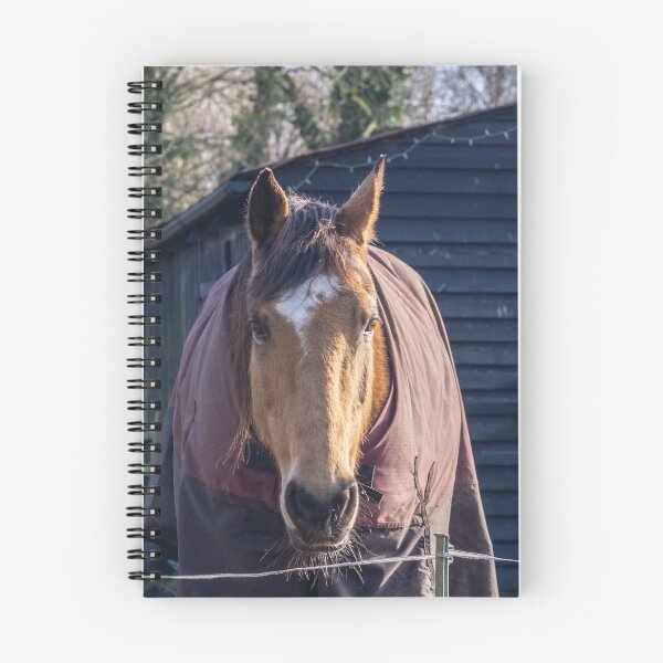 Item preview, The stallion designed and sold by yackers1.