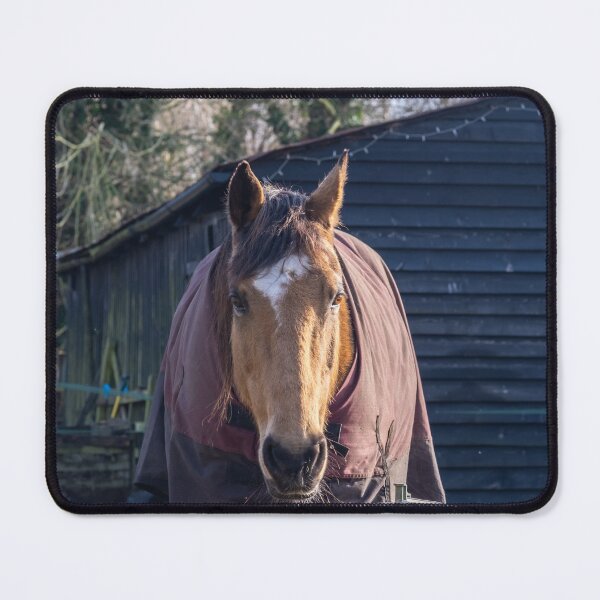 Item preview, The stallion designed and sold by yackers1.