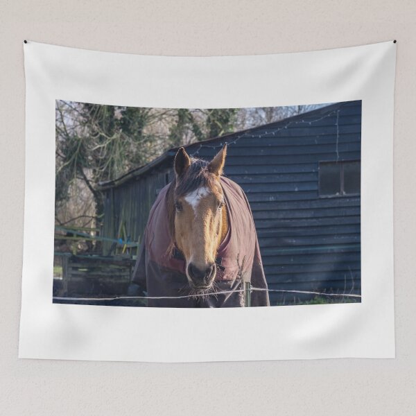 Item preview, The stallion designed and sold by yackers1.
