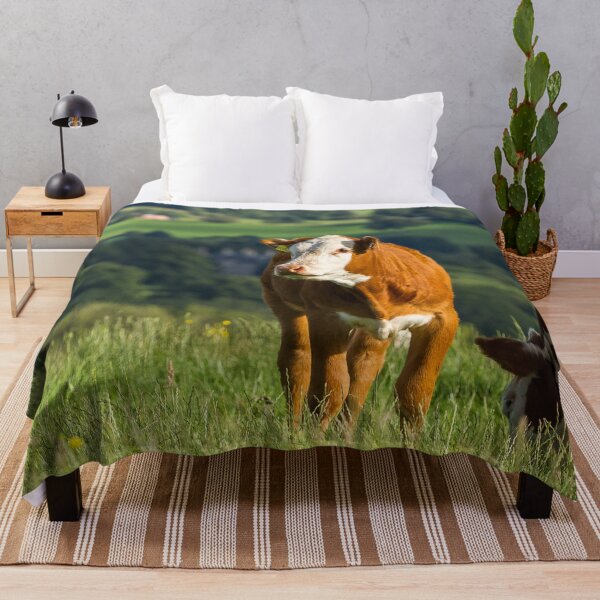 Item preview, Hereford Calf designed and sold by Jane Stanley Photography.