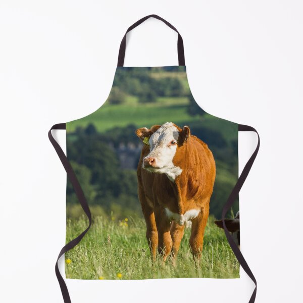 Item preview, Hereford Calf designed and sold by Jane Stanley Photography.