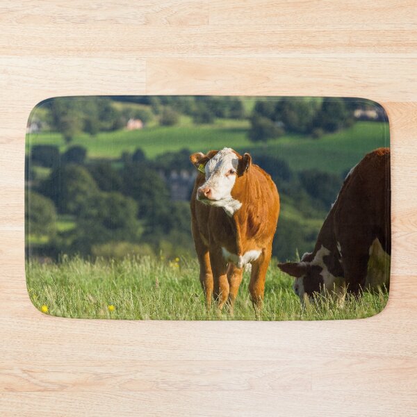 Item preview, Hereford Calf designed and sold by Jane Stanley Photography.