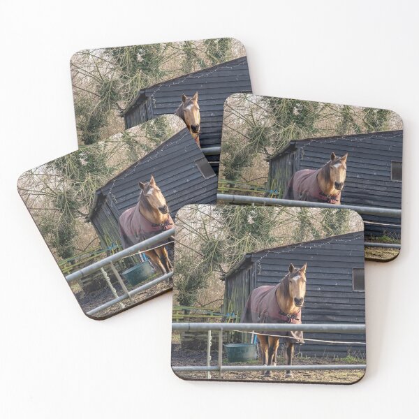 Item preview, Stallion  designed and sold by yackers1.