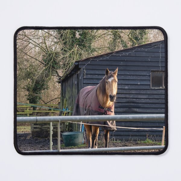 Item preview, Stallion designed and sold by yackers1.
