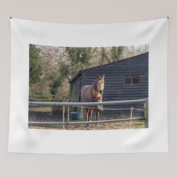 Item preview, Stallion  designed and sold by yackers1.
