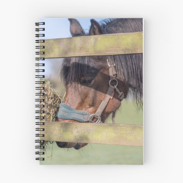 Item preview, Hungry horse designed and sold by yackers1.