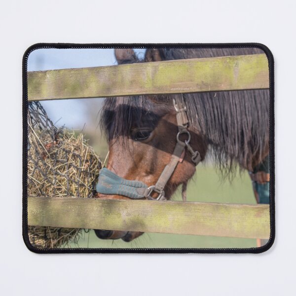 Item preview, Hungry horse designed and sold by yackers1.
