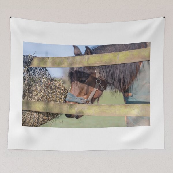 Item preview, Hungry horse designed and sold by yackers1.