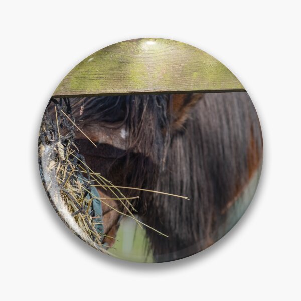 Item preview, Stallion grazing on hay designed and sold by yackers1.