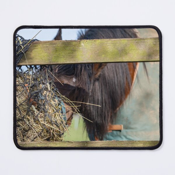 Item preview, Stallion grazing on hay designed and sold by yackers1.