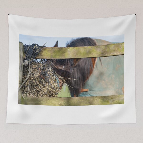 Item preview, Stallion grazing on hay designed and sold by yackers1.