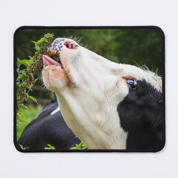 Item preview, Cow Eating Nettles designed and sold by Jane Stanley Photography.
