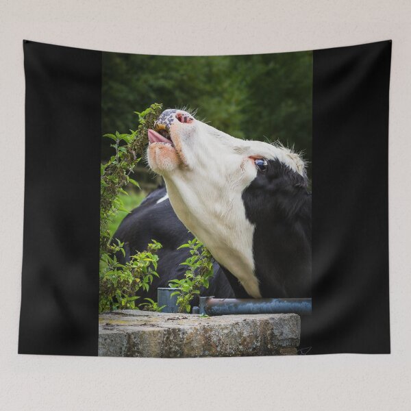 Item preview, Cow Eating Nettles designed and sold by Jane Stanley Photography.