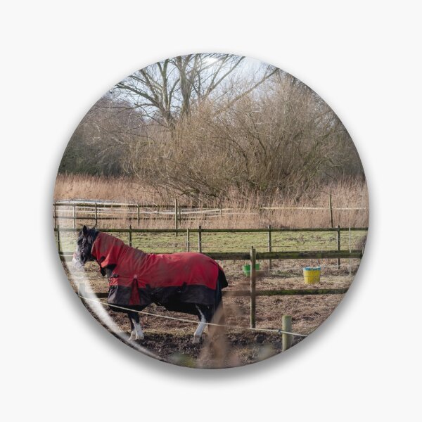Item preview, Horse in field designed and sold by yackers1.
