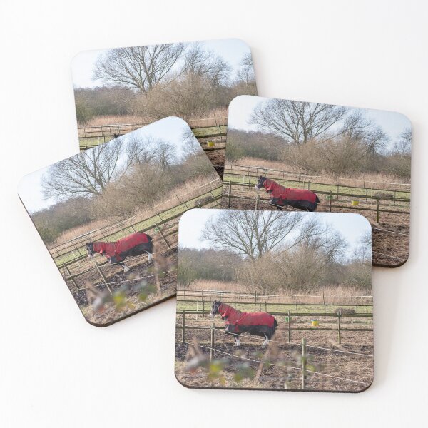 Item preview, Horse in field designed and sold by yackers1.