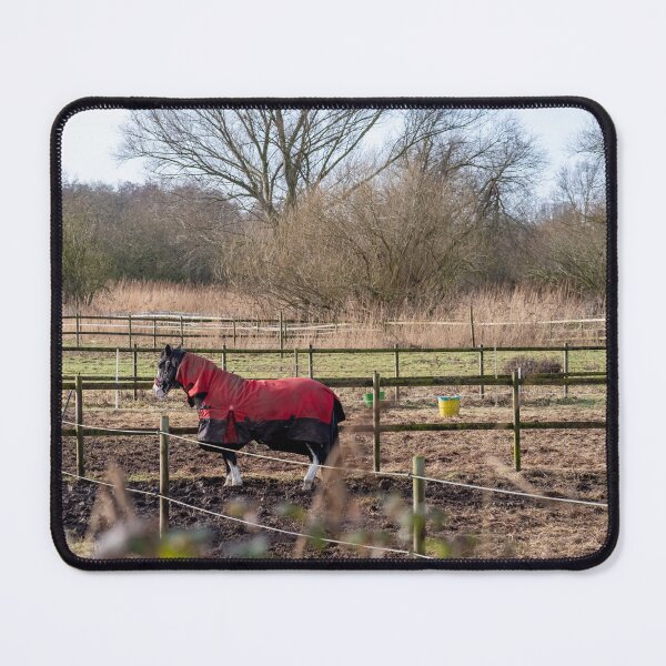 Item preview, Horse in field designed and sold by yackers1.