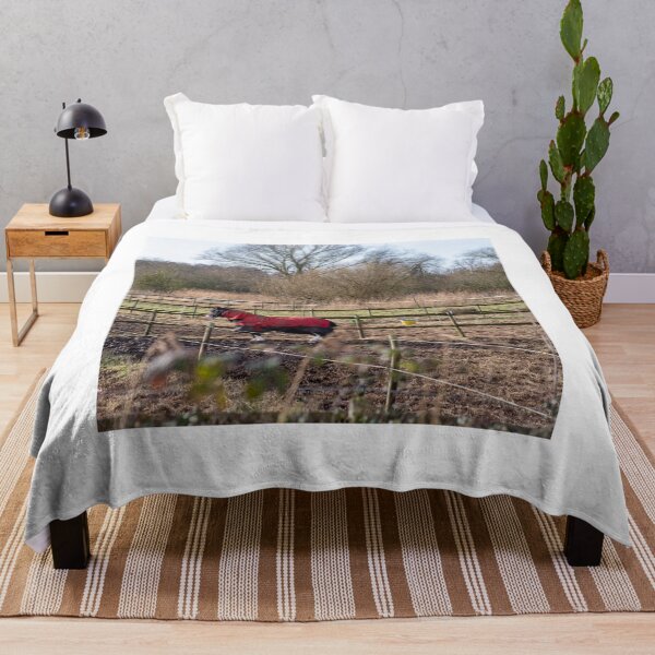 Item preview, Horse in field designed and sold by yackers1.