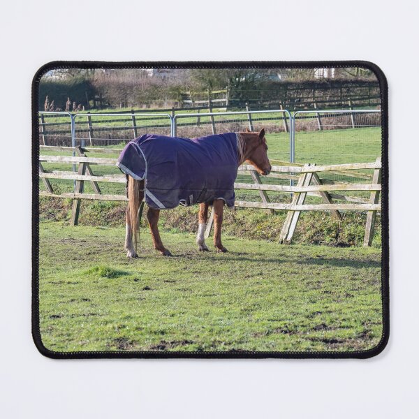Item preview, The stallion designed and sold by yackers1.