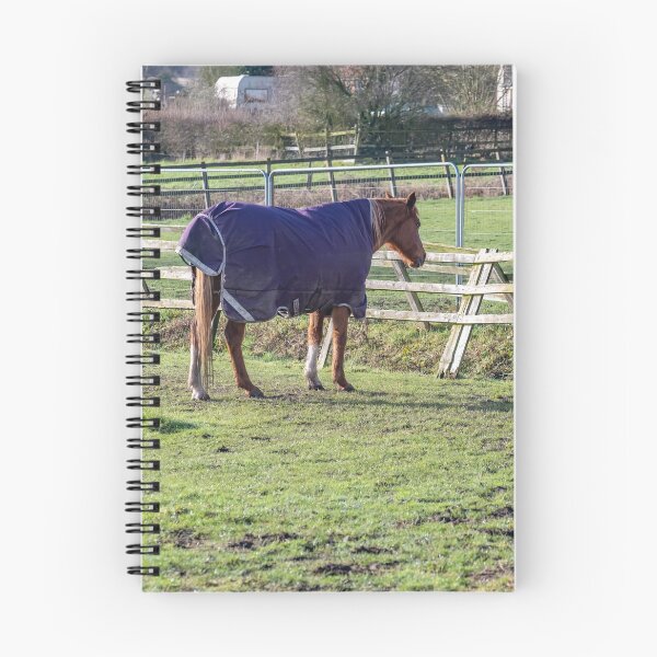 Item preview, The stallion designed and sold by yackers1.