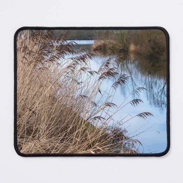 Item preview, Golden reeds on the river bank designed and sold by yackers1.