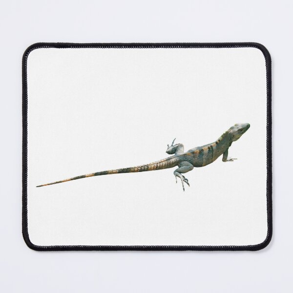 Item preview, Full Body Striped Tail Iguana designed and sold by Simply-Visual.