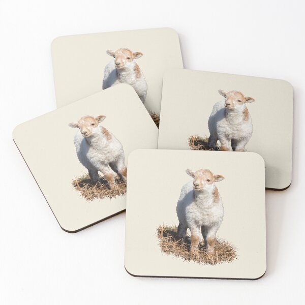 Item preview, Welsh Mountain Lamb Placement Print designed and sold by Jane Stanley Photography.