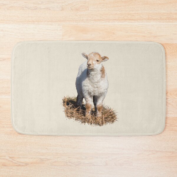 Item preview, Welsh Mountain Lamb Placement Print designed and sold by Jane Stanley Photography.