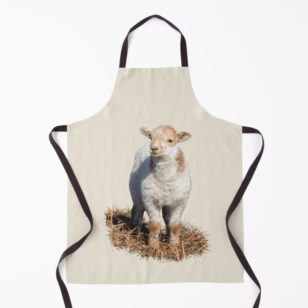Item preview, Welsh Mountain Lamb Placement Print designed and sold by Jane Stanley Photography.