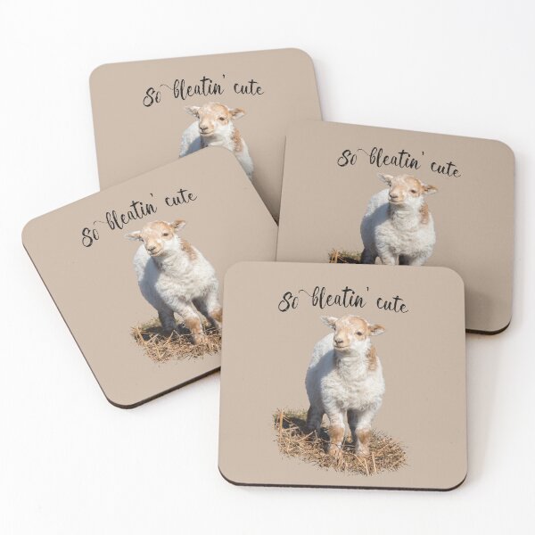 Item preview, Welsh Mountain Lamb - So bleatin cute designed and sold by Jane Stanley Photography.