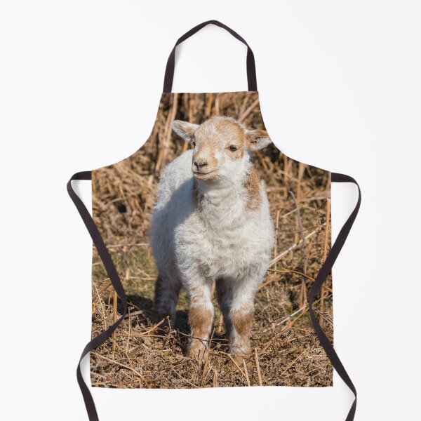 Item preview, Welsh Mountain Lamb designed and sold by Jane Stanley Photography.
