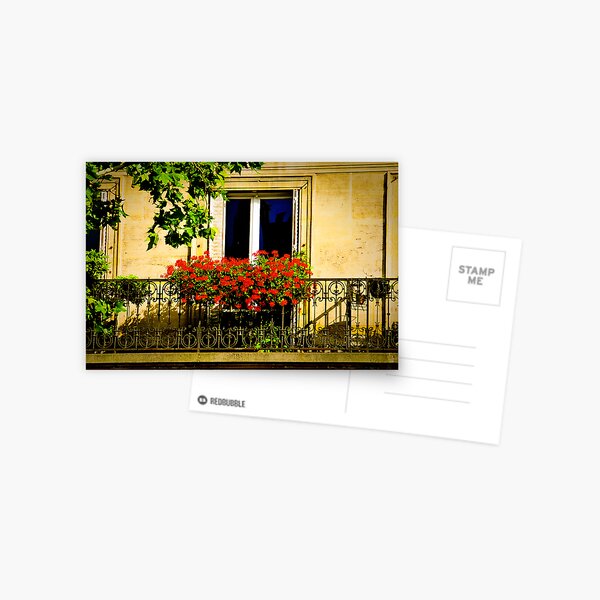 The window Postcard
