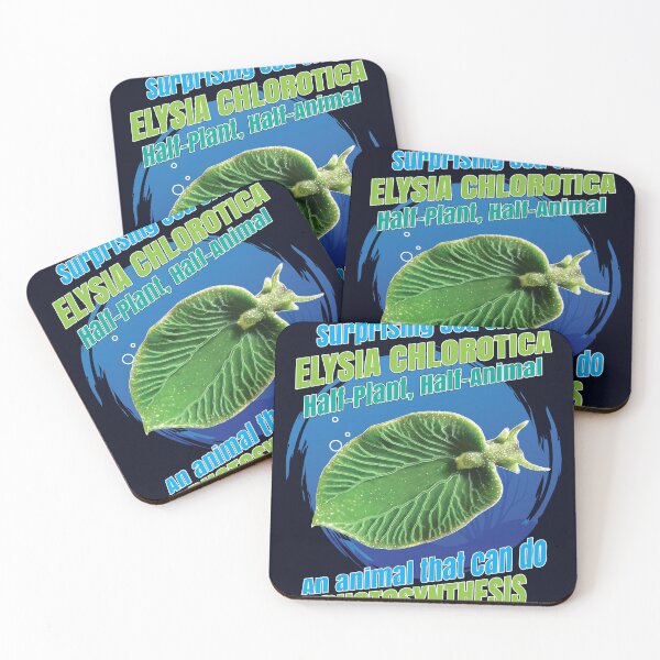 Item preview, Surprising Sea Slug "Elysia Chlorotica" illustration - Half-plant, Half-animal designed and sold by SciArtPrintShop.