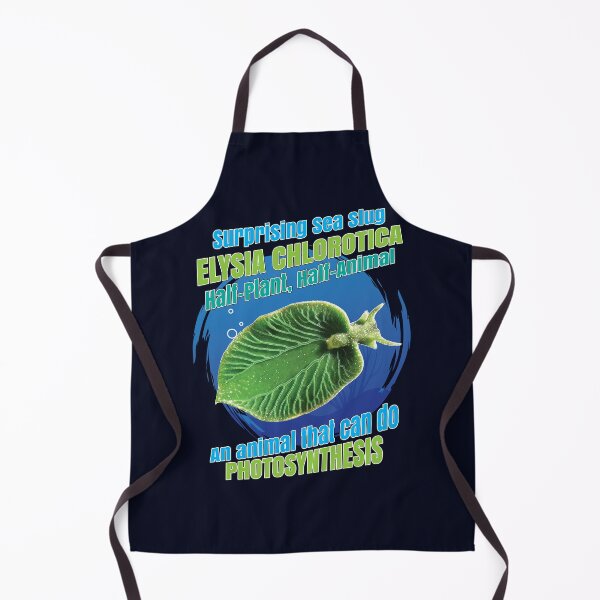 Item preview, Surprising Sea Slug "Elysia Chlorotica" illustration - Half-plant, Half-animal designed and sold by SciArtPrintShop.