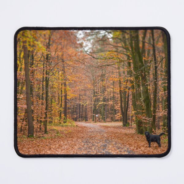 Item preview, Forest designed and sold by CHOPPERS NOT DEAD.