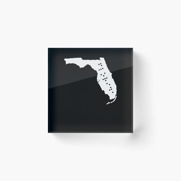 Item preview, FLORIDA State Shape Braille Shirt designed and sold by brizodesign.