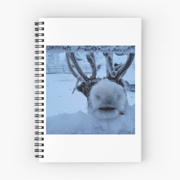 Item preview, Reno ártico con astas nevadas designed and sold by Simply-Visual.