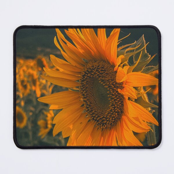 Item preview, Golden Sunflower Glow designed and sold by DimitrovPrints .
