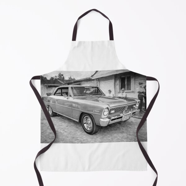 Item preview, 1967 Acadian Canso SD Sport Deluxe X102 designed and sold by RichFrancoCars.