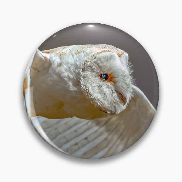 Item preview, Barn Owl fly past designed and sold by Dalyndigital Photography.