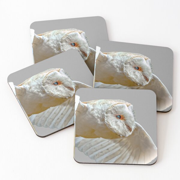 Item preview, Barn Owl fly past designed and sold by Dalyndigital Photography.