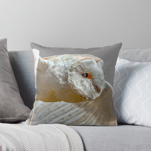 Item preview, Barn Owl fly past designed and sold by Dalyndigital Photography.