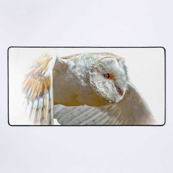 Item preview, Barn Owl fly past designed and sold by Dalyndigital Photography.