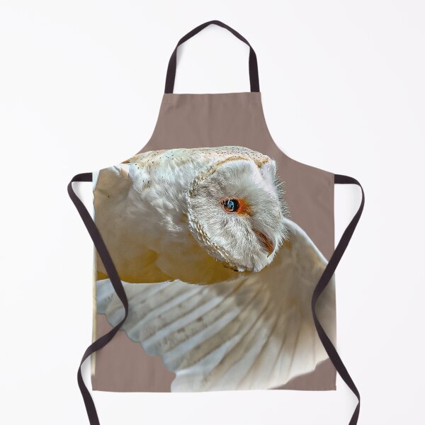 Item preview, Barn Owl fly past designed and sold by Dalyndigital Photography.