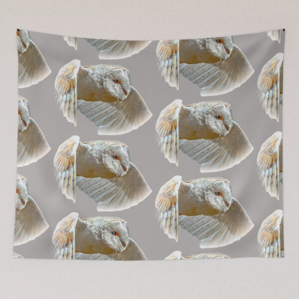 Item preview, Barn Owl fly past designed and sold by Dalyndigital Photography.