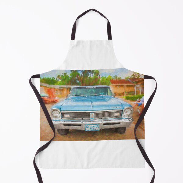 Item preview, 1967 Acadian Canso SD Sport Deluxe X105 designed and sold by RichFrancoCars.