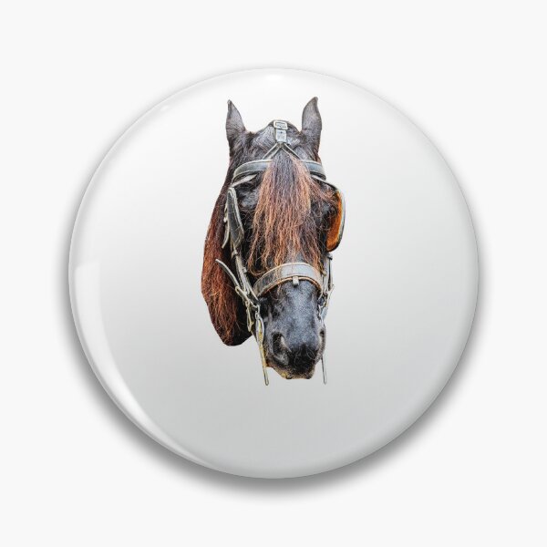 Item preview, Cariage horse in Bruges designed and sold by Dalyndigital Photography.