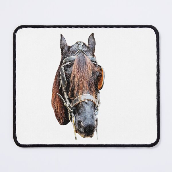 Item preview, Cariage horse in Bruges designed and sold by Dalyndigital Photography.
